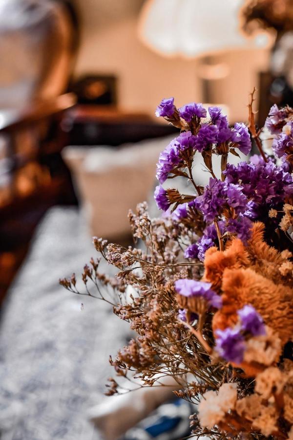 Maison Garnier Hotel De Charme เบียริตซ์ ภายนอก รูปภาพ